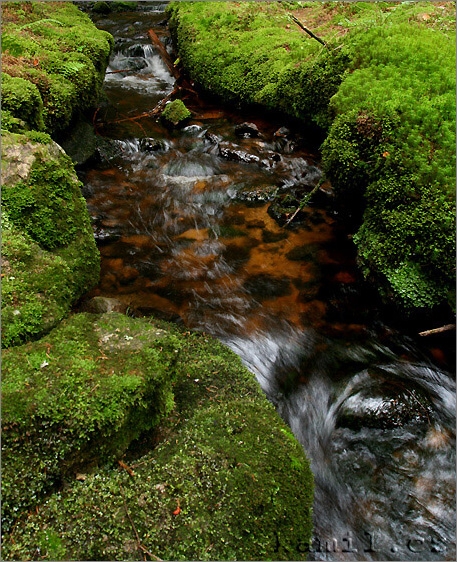 vody Šumavy, léto 2006