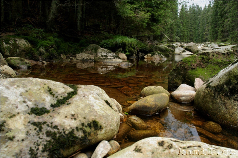 vody Šumavy, léto 2006